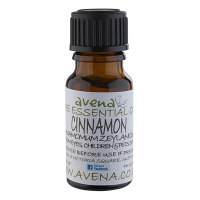 Cinnamon Essential Oil (Cinnamomum zeylanicum)